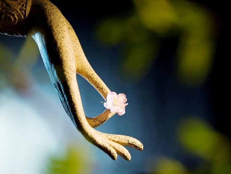 Công năng của phước báo